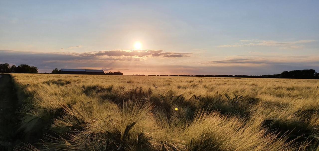 Jugendherberge Fehmarn Bagian luar foto